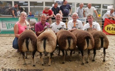 Keuring 24-08-2019 te Apeldoorn